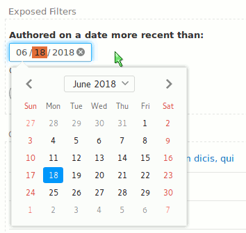 Date Popup Views Exposed Filter for Drupal 8