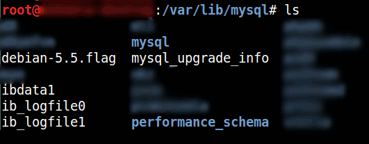 MySQL folder on linux storing data