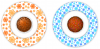 Cuppycakes on plates—Chapter 3—Speeding up your workflow